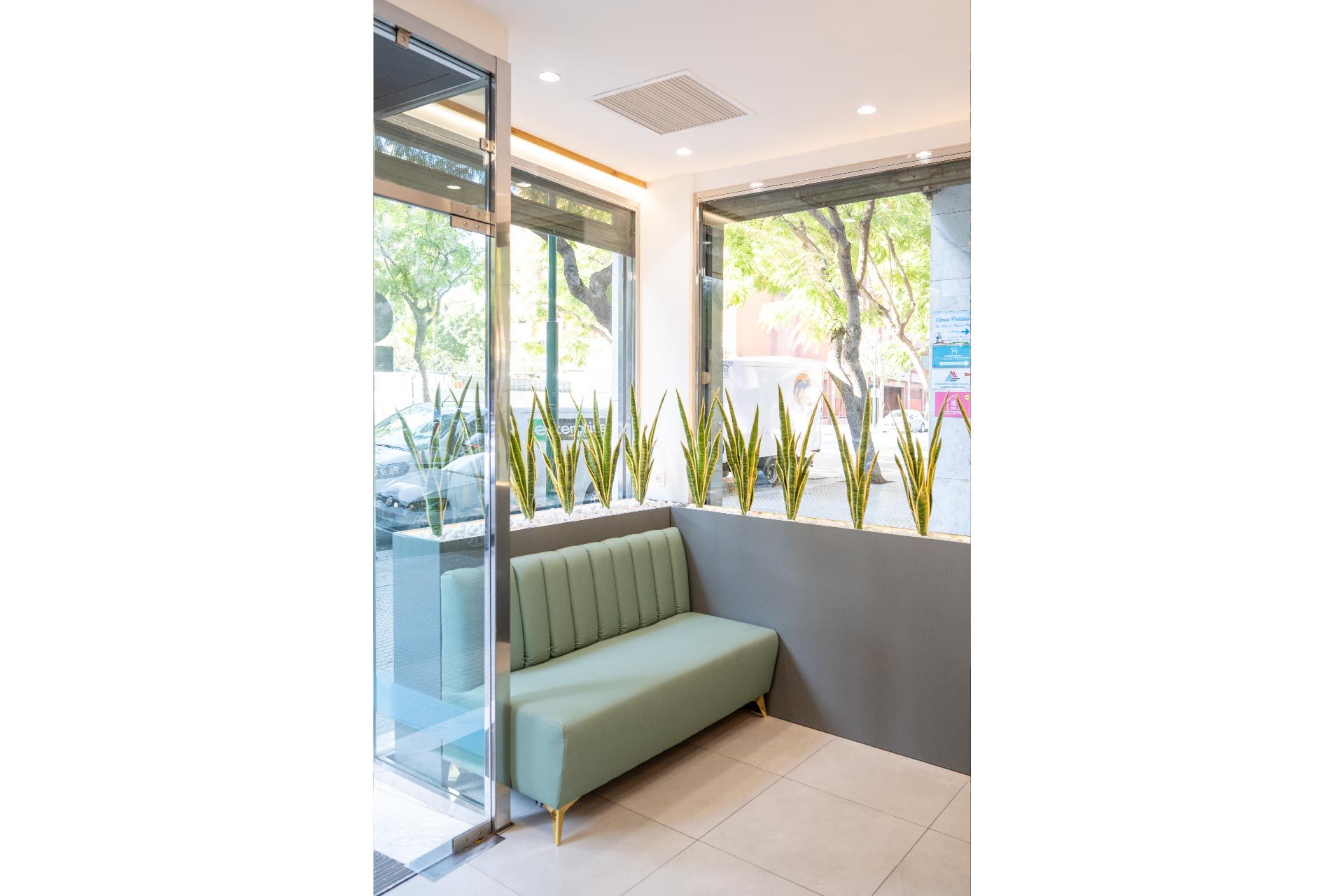 Una sala de espera moderna y luminosa cuenta con un sofá verde y plantas altas de interior que bordean el alféizar de la ventana.