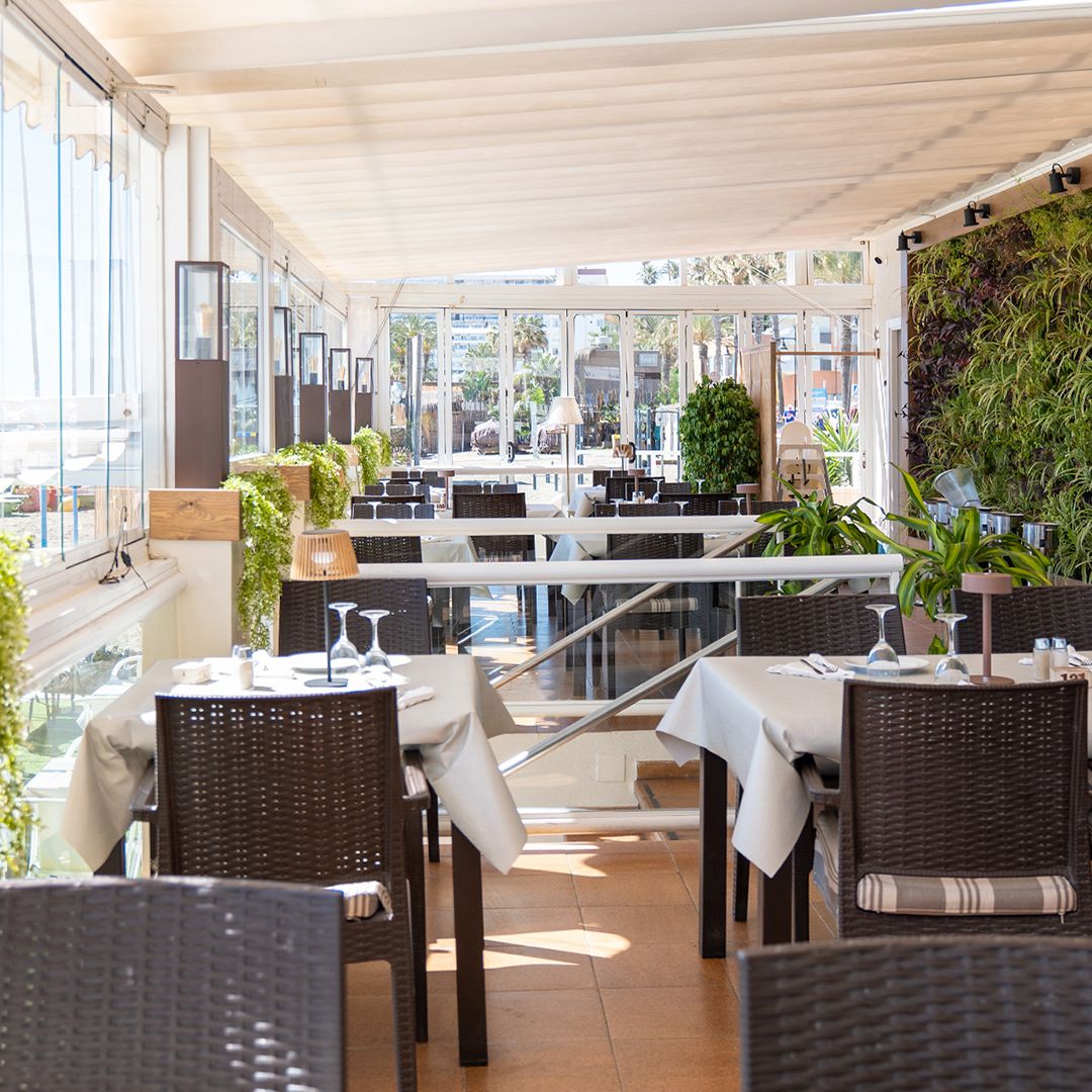 Reforma-Pizzeria-Mare-BlancaCano-0000 Moderna sala de estar con un sofá seccional blanco, mesa de centro de madera, plantas de interior y grandes puertas correderas de cristal que dan a un patio exterior; escalera visible al fondo.